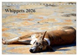Whippet 2026 (Tischkalender 2026 DIN A5 quer), CALVENDO Monatskalender - Ula Redl
