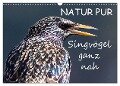 NATUR PUR - Singvögel ganz nah (Wandkalender 2024 DIN A3 quer), CALVENDO Monatskalender - Karin Dietzel
