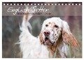 English Setter ¿ Impressionen edler Hunde (Tischkalender 2024 DIN A5 quer), CALVENDO Monatskalender - Visovio Visovio