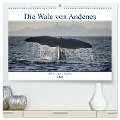 Die Wale von Andenes (hochwertiger Premium Wandkalender 2024 DIN A2 quer), Kunstdruck in Hochglanz - Stefan Leimer