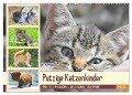 Putzige Katzenkinder. Drollige Kätzchen entdecken die Welt! (Wandkalender 2024 DIN A2 quer), CALVENDO Monatskalender - Rose Hurley