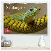 Schlangen (hochwertiger Premium Wandkalender 2026 DIN A2 quer), Kunstdruck in Hochglanz - Elisabeth Stanzer