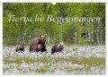 Tierische Begegnungen (Wandkalender 2024 DIN A3 quer), CALVENDO Monatskalender - Daniela Beyer (Moqui)