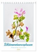 Blütenmetamorphosen (Tischkalender 2024 DIN A5 hoch), CALVENDO Monatskalender - Clemens Stenner