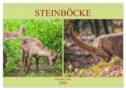 Steinböcke - imposante Tiere (Tischkalender 2026 DIN A5 quer), CALVENDO Monatskalender - Liselotte Brunner-Klaus