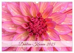 Dahlien-Kronen (Wandkalender 2025 DIN A3 quer), CALVENDO Monatskalender - Rainer Plett