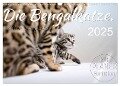 Die Bengalkatze. Edition Jungtiere (Wandkalender 2025 DIN A3 quer), CALVENDO Monatskalender - Sylvio Banker