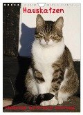 Hauskatzen (Wandkalender 2024 DIN A4 hoch), CALVENDO Monatskalender - Antje Lindert-Rottke