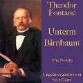Theodor Fontane: Unterm Birnbaum - Theodor Fontane