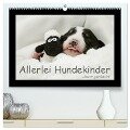 Allerlei Hundekinder (hochwertiger Premium Wandkalender 2024 DIN A2 quer), Kunstdruck in Hochglanz - Kathrin Köntopp