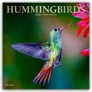 Cover-Bild zum Titel 'Hummingbirds - Kolibris 2026 - 16-Monatskalender' von 'Browntrout Publishers'