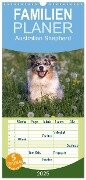 Familienplaner 2025 - Australian Shepherd mit 5 Spalten (Wandkalender, 21 x 45 cm) CALVENDO - Annett Mirsberger Www. Tierpfoto. De