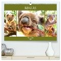 Koalas. Teddy-Alarm! (hochwertiger Premium Wandkalender 2025 DIN A2 quer), Kunstdruck in Hochglanz - Rose Hurley