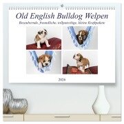 Old English Bulldog Welpen (hochwertiger Premium Wandkalender 2026 DIN A2 quer), Kunstdruck in Hochglanz - Fotodesign Verena Scholze