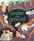 Peep Inside Under the Ground - Anna Milbourne