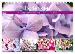 Hortensien Bezauberndes Farbenspiel (Wandkalender 2025 DIN A3 quer), CALVENDO Monatskalender - Gisela Kruse