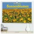 Ein Jahr lang Sonnenblumen (hochwertiger Premium Wandkalender 2024 DIN A2 quer), Kunstdruck in Hochglanz - Anke van Wyk - www. germanpix. net