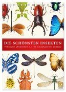 Die schönsten Insekten (Tischkalender 2025 DIN A5 hoch), CALVENDO Monatskalender - Wildlife Art Print