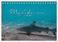 Unterwasserwelt der Malediven I (Tischkalender 2024 DIN A5 quer), CALVENDO Monatskalender - Clave Rodriguez Photography