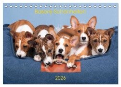 Cover-Bild zum Titel 'Basenji-Schönheiten (Tischkalender 2026 DIN A5 quer), CALVENDO Monatskalender' von 'Angelika Joswig'