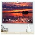 Der Sonne entgegen (hochwertiger Premium Wandkalender 2024 DIN A2 quer), Kunstdruck in Hochglanz - Gerhard Albicker
