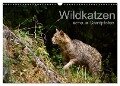 Wildkatzen - scheue Samtpfoten (Wandkalender 2024 DIN A3 quer), CALVENDO Monatskalender - Cloudtail The Snow Leopard