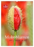 Mohnblumen-ein Traum in rot (Wandkalender 2025 DIN A2 hoch), CALVENDO Monatskalender - SchnelleWelten SchnelleWelten