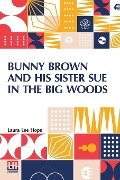 Bunny Brown And His Sister Sue In The Big Woods - Laura Lee Hope