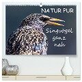 NATUR PUR - Singvögel ganz nah (hochwertiger Premium Wandkalender 2024 DIN A2 quer), Kunstdruck in Hochglanz - Karin Dietzel