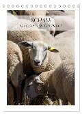 Schafe - 12 Monate in der Herde (Tischkalender 2024 DIN A5 hoch), CALVENDO Monatskalender - Stefanie Und Philipp Kellmann