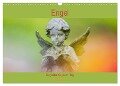 Engel - Begleiter für jeden Tag (Wandkalender 2024 DIN A3 quer), CALVENDO Monatskalender - Fotodesign Verena Scholze