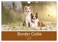 Border Collie - Bunt und clever! (Wandkalender 2024 DIN A4 quer), CALVENDO Monatskalender - Andrea Mayer Tierfotografie