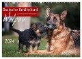 Deutscher Schäferhund - Welpen / CH-Version (Wandkalender 2024 DIN A2 quer), CALVENDO Monatskalender - Petra Schiller