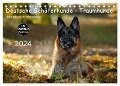 Deutsche Schäferhunde - Traumhunde (Tischkalender 2024 DIN A5 quer), CALVENDO Monatskalender - Petra Schiller