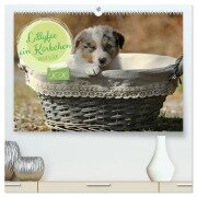 Lillyfee und ein Körbchen voller Glück (hochwertiger Premium Wandkalender 2026 DIN A2 quer), Kunstdruck in Hochglanz - Hundefotografie Beatrice Müller