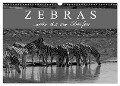 Zebras - Mehr als nur Streifen (Wandkalender 2024 DIN A3 quer), CALVENDO Monatskalender - Markus Pavlowsky Photography