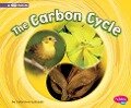 The Carbon Cycle: A 4D Book - Catherine Ipcizade