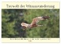 Tierwelt der Wümmeniederung (Wandkalender 2024 DIN A2 quer), CALVENDO Monatskalender - Jens Siebert