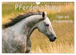 Pferdehaltung Tipps und Wissenswertes (Wandkalender 2025 DIN A4 quer), CALVENDO Monatskalender - Meike Bölts