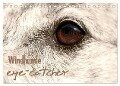 Windhunde eye-catcher (Tischkalender 2024 DIN A5 quer), CALVENDO Monatskalender - Pfoten-Design Andrea Redecker