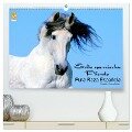 Edle spanische Pferde - Pura Raza Espanola (hochwertiger Premium Wandkalender 2024 DIN A2 quer), Kunstdruck in Hochglanz - Ramona Dünisch Www. Ramona-Duenisch. De