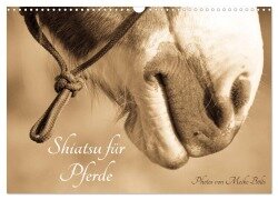 Shiatsu für Pferde - Photos von Meike Bölts (Wandkalender 2025 DIN A3 quer), CALVENDO Monatskalender - Meike Bölts