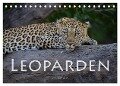 Leoparden - groß und klein (Tischkalender 2024 DIN A5 quer), CALVENDO Monatskalender - Robert Styppa