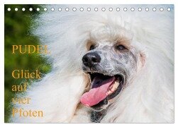Pudel - Glück auf vier Pfoten (Tischkalender 2025 DIN A5 quer), CALVENDO Monatskalender - Sigrid Starick