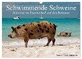 Schwimmende Schweine (Wandkalender 2024 DIN A3 quer), CALVENDO Monatskalender - Elisabeth Stanzer
