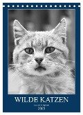 Wilde Katzen - Korsikas Samtpfoten (Tischkalender 2025 DIN A5 hoch), CALVENDO Monatskalender - Claudia Schimmack