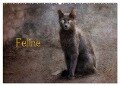 Feline (Wandkalender 2024 DIN A2 quer), CALVENDO Monatskalender - Claudia Möckel Lucy L!u
