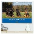 Der Beauceron (hochwertiger Premium Wandkalender 2025 DIN A2 quer), Kunstdruck in Hochglanz - Annett Mirsberger