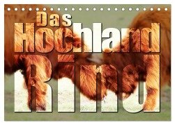 Das Hochlandrind (Tischkalender 2026 DIN A5 quer), CALVENDO Monatskalender - Birte Zabel