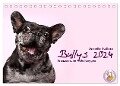 Bullys - Französische Bulldoggen 2024 (Tischkalender 2024 DIN A5 quer), CALVENDO Monatskalender - Jeanette Hutfluss